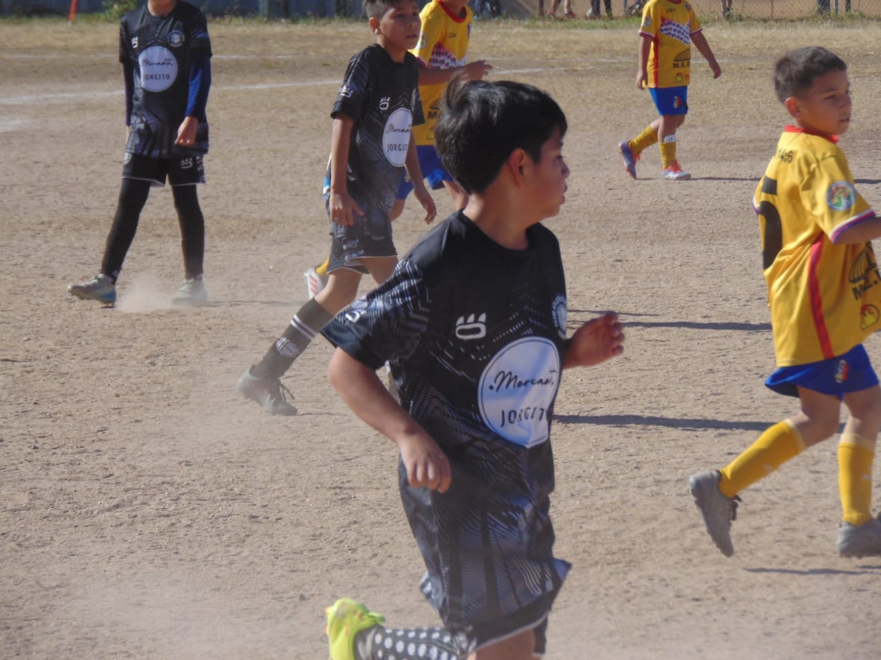 Imagen 2